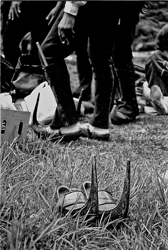 Transumance Biros-2